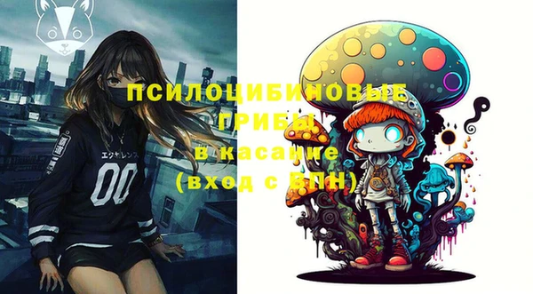 мдпв Осинники