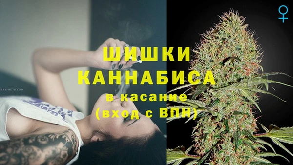 мдпв Осинники