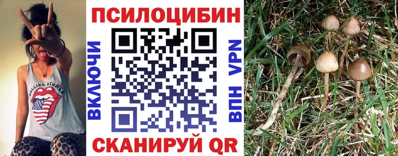 Купить закладки  Зеленокумск  Галлюциногенные грибы мухоморы 